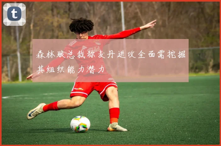 森林狼总裁称麦丹进攻全面需挖掘其组织能力潜力