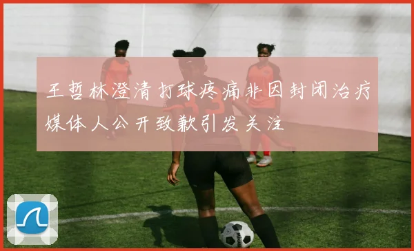 王哲林澄清打球疼痛非因封闭治疗媒体人公开致歉引发关注